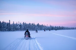 Explore the snow-draped forests and cozy villages of Lapland