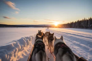 Journey through Lapland with huskies